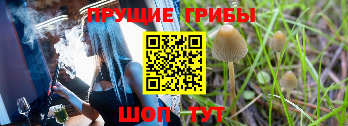 Псилоцибиновые грибы ЛСД Старая Купавна